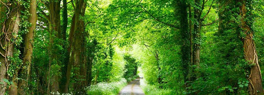 Weiterentwicklung durch persönliches Coaching