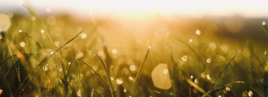 Klarer werden durch Meditation